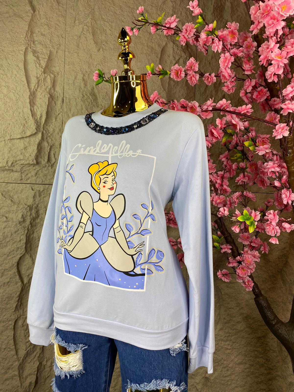 SUDADERA PRINCESS CON APPS